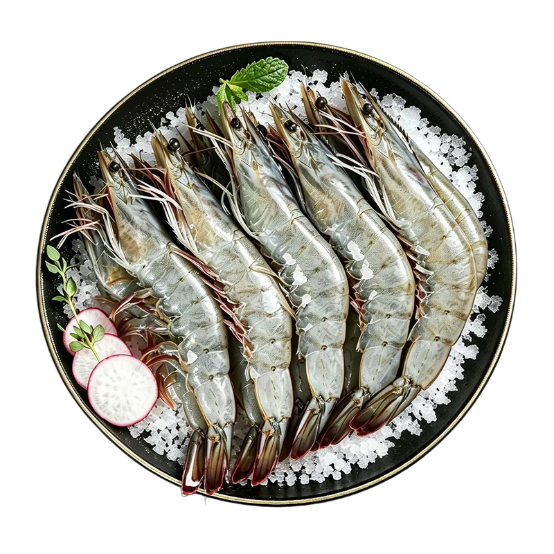 大虾鲜活冷冻特大冻虾批发商用