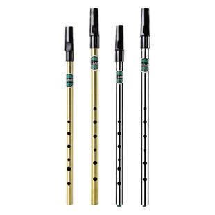 Geipel 爱尔兰哨笛初学者金属哨笛自学入门6孔C调D调高音金属竖笛