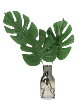 仿真龟背叶植物绿植散摄影道具