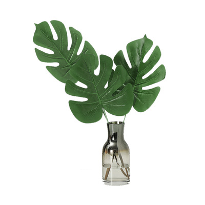 仿真龟背叶植物绿植散摄影道具