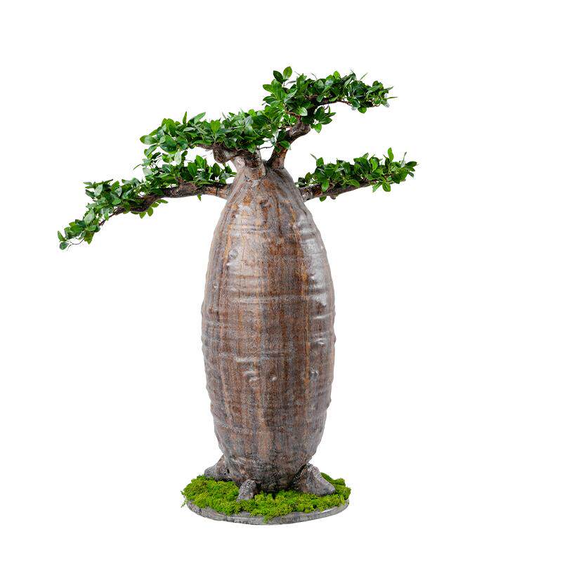 大型仿真植物猴面包树仿生树落地