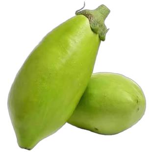 新鲜现摘青茄子特产青茄子新鲜蔬菜农家自种青皮茄子