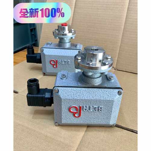 荷兰BETA压力开关C1-P406M-S1B-P2-K1-M