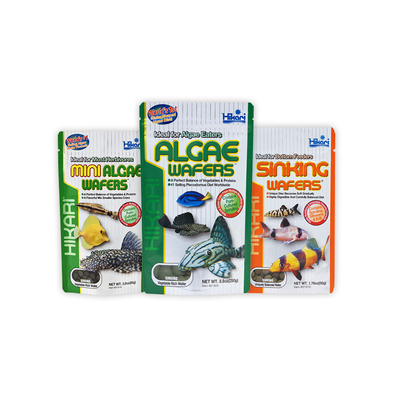 高够力异形饲料胡子鼠鱼肉食底栖