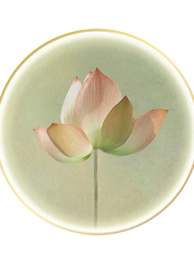 LED荷花装饰画新中式莲花圆形