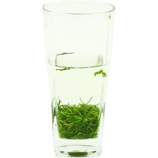 2025新茶叶清香味浓雨前春茶南漳毛尖绿茶高山云雾炒青散装250g罐