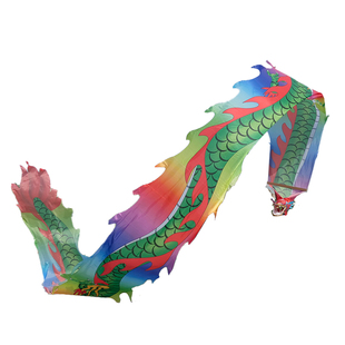 舞龙彩带健身龙广场舞中老年带甩彩带甩龙耍龙道具运动中国龙8米