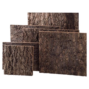 CM爬宠饲养箱玻璃爬箱爬虫雨林缸树皮背景板造景