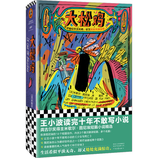 大松鸡 米歇尔·图尼埃 黄荭译 短篇小说 龚古尔文学奖 精装 王小波读完十年不敢写作 少女与死亡读客彩条文库 正版图书