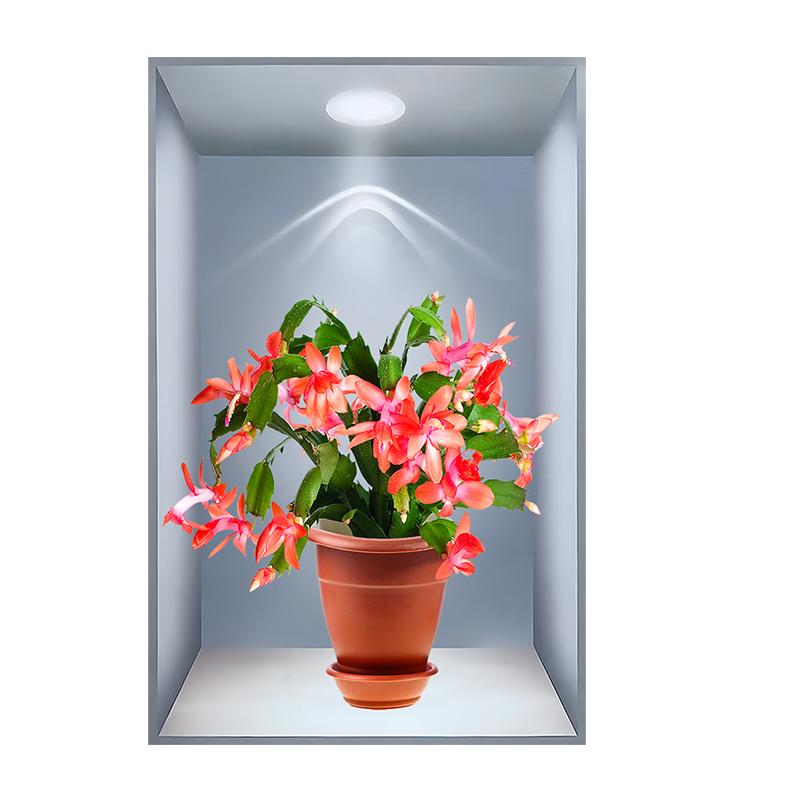 新款植物花卉3D效果盆栽贴画客厅餐厅三联自粘贴画过道楼梯墙贴画
