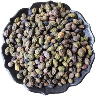 鸦胆子中药材 野生鸭蛋子老鸭胆鸭旦子苦榛子苦参子解苦楝 500克