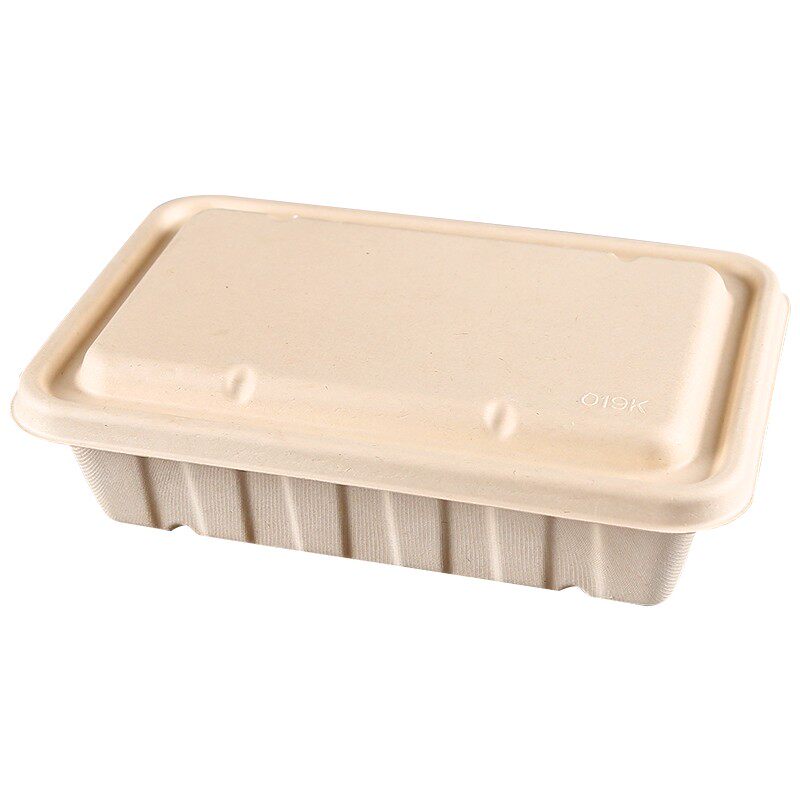 环保可降解纸浆餐具长方形打包盒