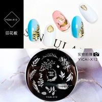 YICAI-X12