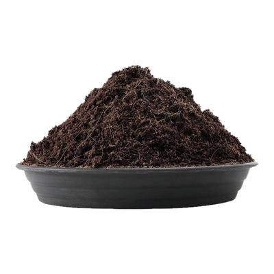 领沃龙血树专用营养土养花通用土