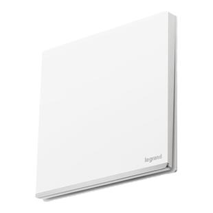 罗格朗开关插座面板仕典Plus白内嵌式一开五孔16三孔usb十大品牌