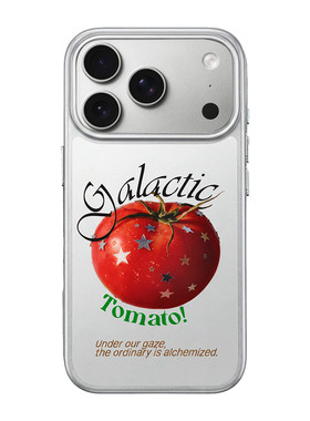 PaPaPa制造局 一颗甜甜番茄金属银磨砂磁吸iPhone手机壳17promax16pro磁吸保护套个性简约水果色彩苹果手机壳