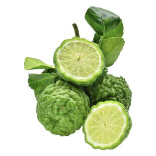 现摘新鲜粗皮柠檬丑柠檬果皱皮柠檬毛里橙泰国菜东南亚菜用马蜂橙