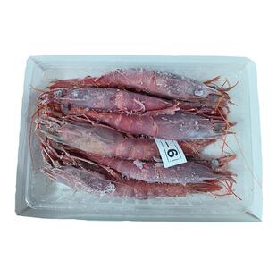 海虾绯红甜虾鳌虾非莫桑比牡丹虾速冻生吃生呛刺身生腌超大红魔虾