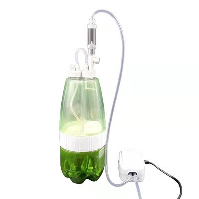 diy无压co2套装自制二氧化碳