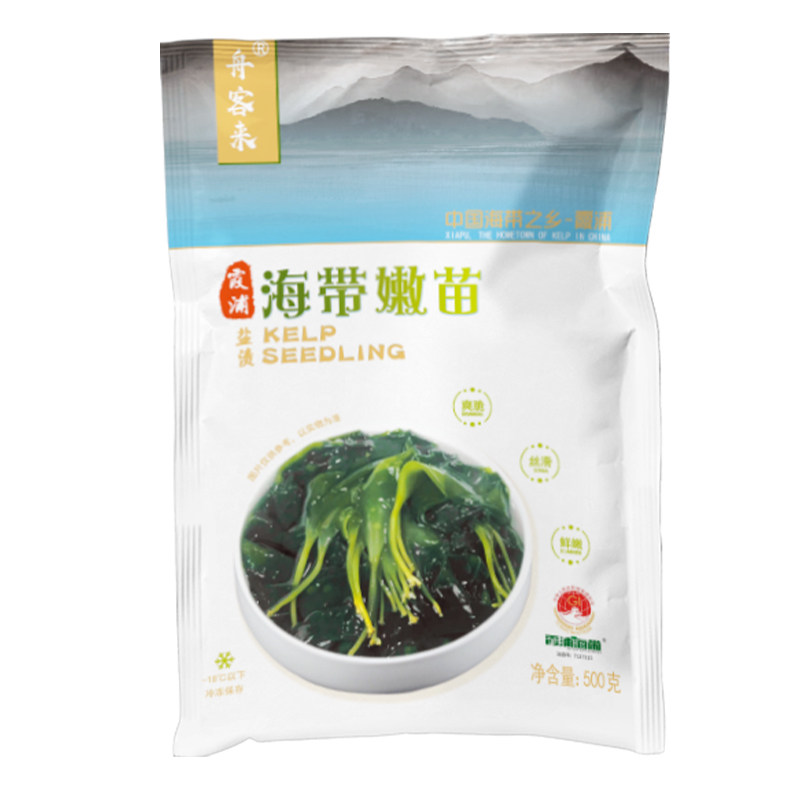 霞浦精选盐渍海带嫩苗家用商用款