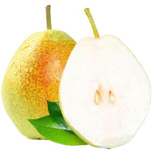 陕西红香酥梨10新鲜水果当季香梨整箱青雪酥梨应季特产斤梨子包邮