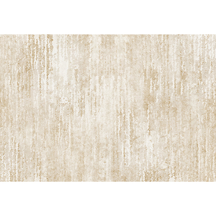 浴室地垫硅藻泥家用厕所脚踏垫卫生间门口地毯洗手间吸水防滑脚垫