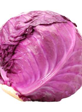 紫包菜新鲜紫甘蓝蔬菜沙拉食材