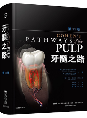 牙髓之路第11版第十一版牙髓治疗并发症的处理口腔科学书籍医学类专业书籍牙科牙髓治疗根管治疗图谱牙体牙髓病学临床牙髓再生技