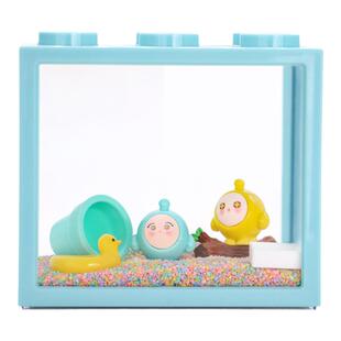 陌派可爱豆丁寄居蟹饲养套装套餐～饲养盒箱办公桌面萌宠儿童礼物