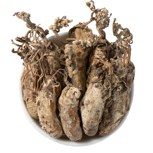 寻百草野生金蝉花中药材2025新货大虫草知了蝉花孢子粉草非500g克