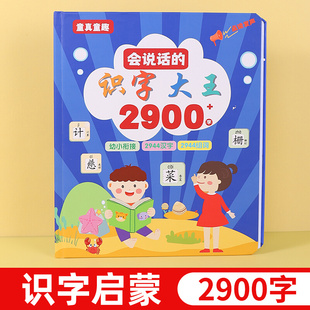 儿童识字大王3000字卡片幼儿园宝宝认字有声点读机早教益智发声书