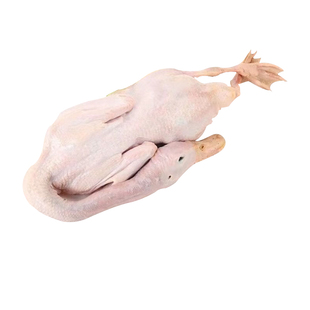 三穗麻鸭农家散养120天土鸭老鸭水鸭新鲜鸭肉整只现杀小鸭子包邮