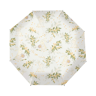 ins风雨伞晴雨两用高颜值便携太阳伞全自动防晒遮阳伞女生折叠伞