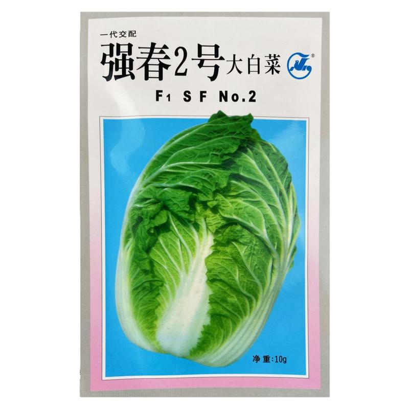 强春2号大白菜种子反季节大白菜种子大白菜种籽黄心春季秋季种孑