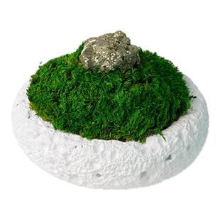 天然黄铜矿黑碧玺永生苔藓微景观盆景办公室客厅水晶矿石创意摆件