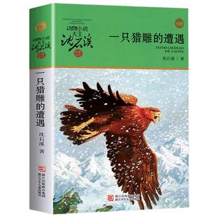 一只猎雕的遭遇升级版沈石溪动物小说系列6-12岁儿童文学新华书店
