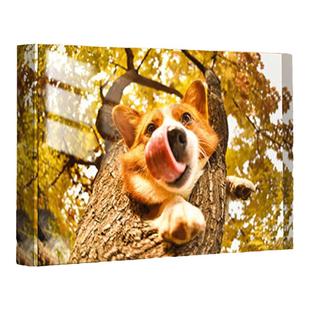 高清超透水晶相框摆台洗照片做成相框打印纪念定制高级亚克力礼物