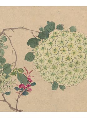 周之冕《百花图卷》临摹国画长卷