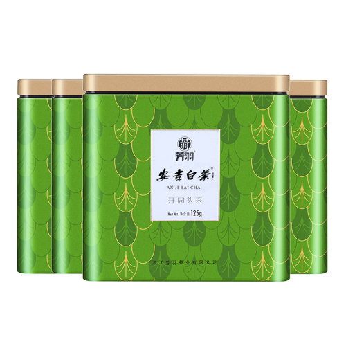 2026精品新茶芳羽安吉白茶头采500g罐装正宗高山绿茶春茶叶伴手礼