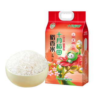 25年新米十月稻田大米稻香米5kg东北黑龙江大米软糯米饭真空官方