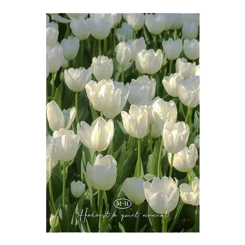 郁金香花卉装饰画ins风北欧清新