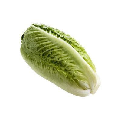 包心罗马生菜500g黄心嫩罗马生菜