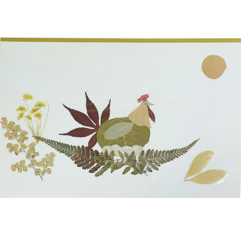 天然真树叶植物标本粘贴画材料包