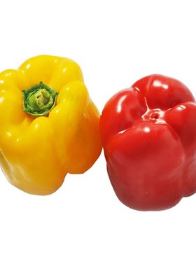 彩椒灯笼椒甜辣椒新鲜圆椒蔬菜
