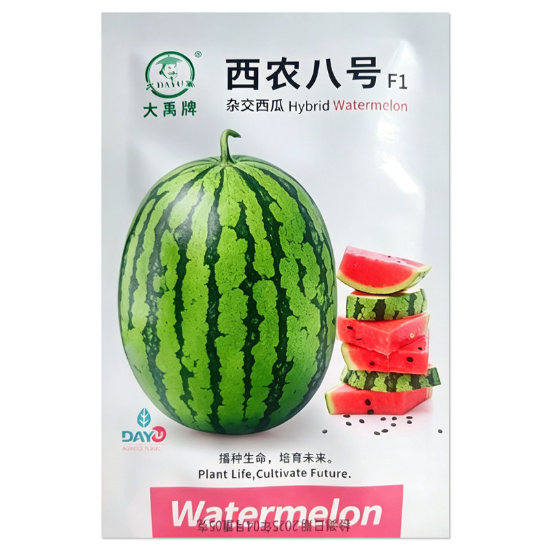 西农八号西瓜种子薄皮大果
