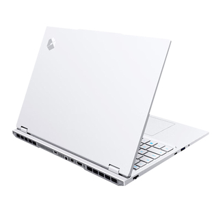 MECHREVO/机械革命 蛟龙16Pro 50独显R9处理器 电竞游戏笔记本