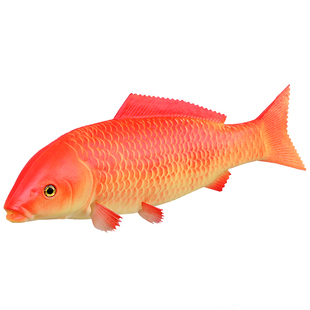 仿真鱼模型热带鱼假红灰鲤鱼鲫鱼扁鱼玩具金枪鱼海洋动物装饰道具