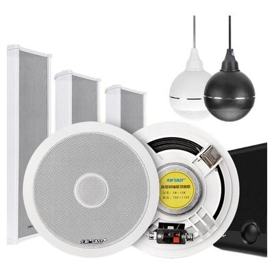 先科吸顶音响壁挂音柱嵌入式喇叭