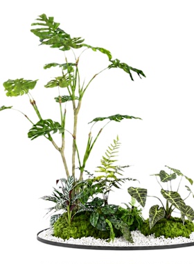 仿真植物龟背竹造景组合室内外园林景观酒店展厅商业定制装饰布置