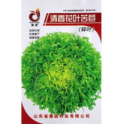 蔬菜种子苦苣种籽阳台水果菊苣
